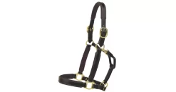 Tory Leather 1" Padded Halter With Brass Hardware 33 Tory Leather 1" Padded Halter With Brass Hardware -Equestrian Supplies Store 5 166513