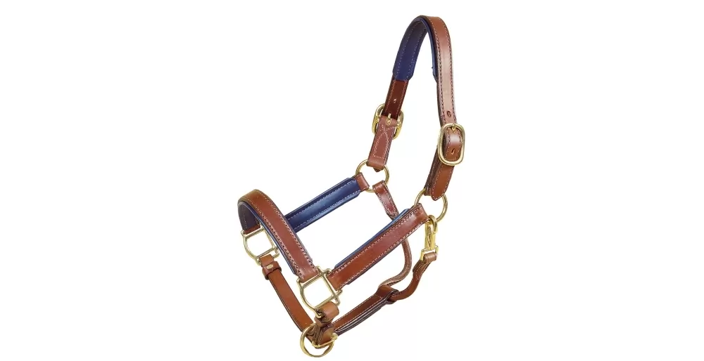 Tory Leather 1" Padded Halter With Brass Hardware 13 Tory Leather 1" Padded Halter With Brass Hardware - Image 11