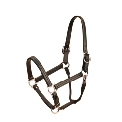 Tory Leather Triple Stitched Deluxe Track Halter W/ Nickel Hardware