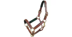 Tory Leather 1" Padded Halter With Brass Hardware 38 Tory Leather 1" Padded Halter With Brass Hardware -Equestrian Supplies Store 5 169717