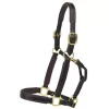 Tory Leather 1" Padded Halter With Brass Hardware -Equestrian Supplies Store 5 169719