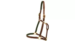 Tory Leather 3/4" Padded Halter With Brass Hardware 36 Tory Leather 3/4" Padded Halter With Brass Hardware -Equestrian Supplies Store 5 169736