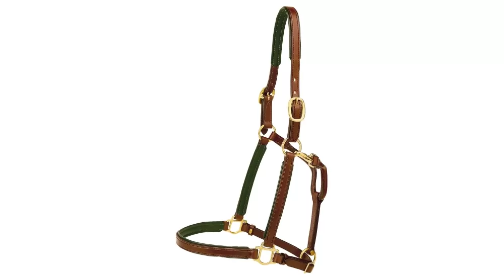Tory Leather 3/4" Padded Halter With Brass Hardware 17 Tory Leather 3/4" Padded Halter With Brass Hardware - Image 15
