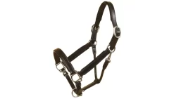 Tory Leather Bridle Leather Padded Halter With Nickel Hardware