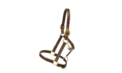 Tory Leather Triple Stitched Halter - Flat Throat & Brass Hardware -Equestrian Supplies Store 5 170578