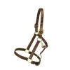 Tory Leather Triple Stitched Halter - Flat Throat & Brass Hardware -Equestrian Supplies Store 5 170579