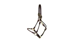 Tory Leather Arab Halter - Brass Hardware -Equestrian Supplies Store 5 170580