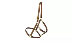 Tory Leather Track/Grooming Conversion Halter With Brass Hardware -Equestrian Supplies Store 5 170591