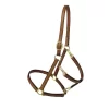 Tory Leather Track/Grooming Conversion Halter With Brass Hardware -Equestrian Supplies Store 5 170593