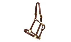 Tory Leather Triple Stitched Halter - Snap & Brass Hardware 14 Tory Leather Triple Stitched Halter - Snap & Brass Hardware -Equestrian Supplies Store 5 170598
