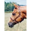 Tory Leather 1" Halter - Crown Buckle & Brass Hardware 2 Tory Leather 1" Halter - Crown Buckle & Brass Hardware -Equestrian Supplies Store 5 170607