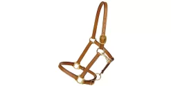 Tory Leather 3/4" Halter - Crown Buckle & Brass Hardware -Equestrian Supplies Store 5 170608