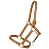 Tory Leather 3/4" Halter - Crown Buckle & Brass Hardware 1 Tory Leather 3/4" Halter - Crown Buckle & Brass Hardware -Equestrian Supplies Store 5 170610