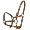Tory Leather 5/8" Halter - Crown Buckle & Brass Hardware 2 Tory Leather 5/8" Halter - Crown Buckle & Brass Hardware -Equestrian Supplies Store 5 170622