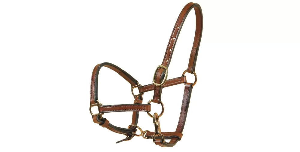 Tory Leather 5/8" Halter - Crown Buckle & Brass Hardware 3 Tory Leather 5/8" Halter - Crown Buckle & Brass Hardware