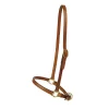 Tory Leather 3/4" Grooming Halter - Brass Hardware 1 Tory Leather 3/4" Grooming Halter - Brass Hardware -Equestrian Supplies Store 5 170627