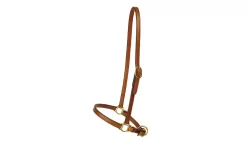 Tory Leather 3/4" Grooming Halter - Brass Hardware