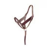 Tory Leather Foal Wide Cheek Slip Halter - Grab Strap