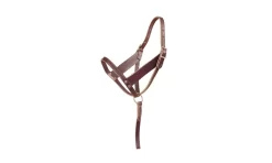 Tory Leather Foal Wide Cheek Slip Halter - Grab Strap
