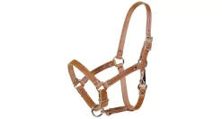 Tory Leather Leather Foal Riveted Halter