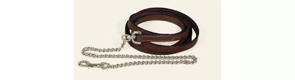 Tory Leather 3/4" Single Ply Lead - Brass Plated Chain 5 Tory Leather 3/4" Single Ply Lead - Brass Plated Chain - Image 3