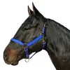 Leather Crown Nylon Breakaway Halter 1 Leather Crown Nylon Breakaway Halter -Equestrian Supplies Store 5 185173