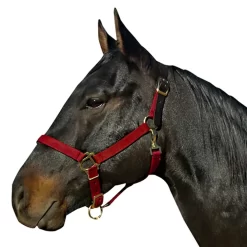 Leather Crown Nylon Breakaway Halter -Equestrian Supplies Store 5 185514