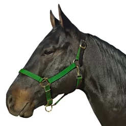 Leather Crown Nylon Breakaway Halter -Equestrian Supplies Store 5 185543