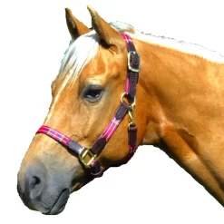 Highland Nylon Halter 9 Highland Nylon Halter -Equestrian Supplies Store 5 185644
