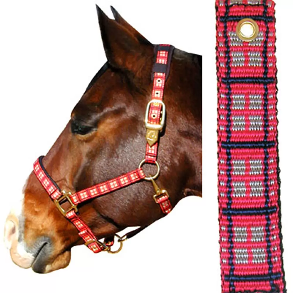 Plaid Nylon Padded Halter 6 Plaid Nylon Padded Halter - Image 4