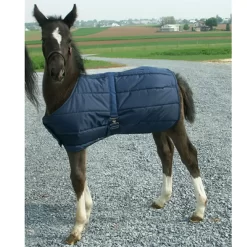 Snuggie Foal Blanket -Equestrian Supplies Store 5 185853