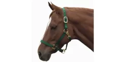 Nylon Adjustable Halter -Equestrian Supplies Store 5 186252