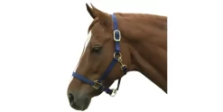 Nylon Adjustable Halter -Equestrian Supplies Store 5 186253
