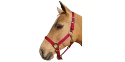 Nylon Adjustable Halter -Equestrian Supplies Store 5 186254
