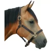 Deluxe Leather 1 Track Halter 1 Deluxe Leather 1 Track Halter -Equestrian Supplies Store 5 189633