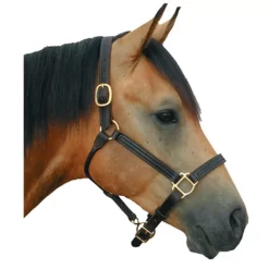 Deluxe Leather 1 Track Halter