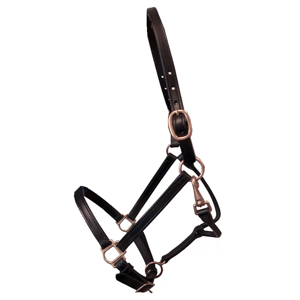 Deluxe Leather 3/4 Track Halter 3 Deluxe Leather 3/4 Track Halter