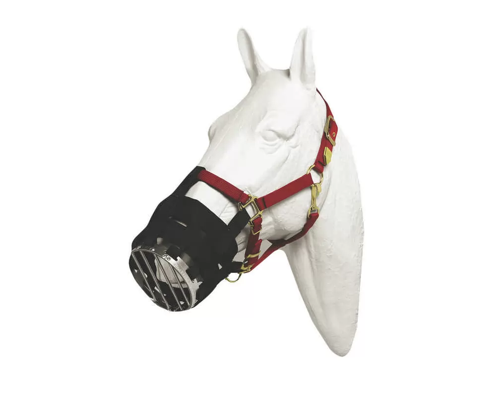 Best Friend Cribbing Muzzle 4 Best Friend Cribbing Muzzle - Image 2