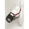Best Friend Cribbing Muzzle -Equestrian Supplies Store 5 212956