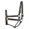 Perris Leather Collection Premium Track Style Leather Show Halter 2 Perris Leather Collection Premium Track Style Leather Show Halter -Equestrian Supplies Store 5 218801