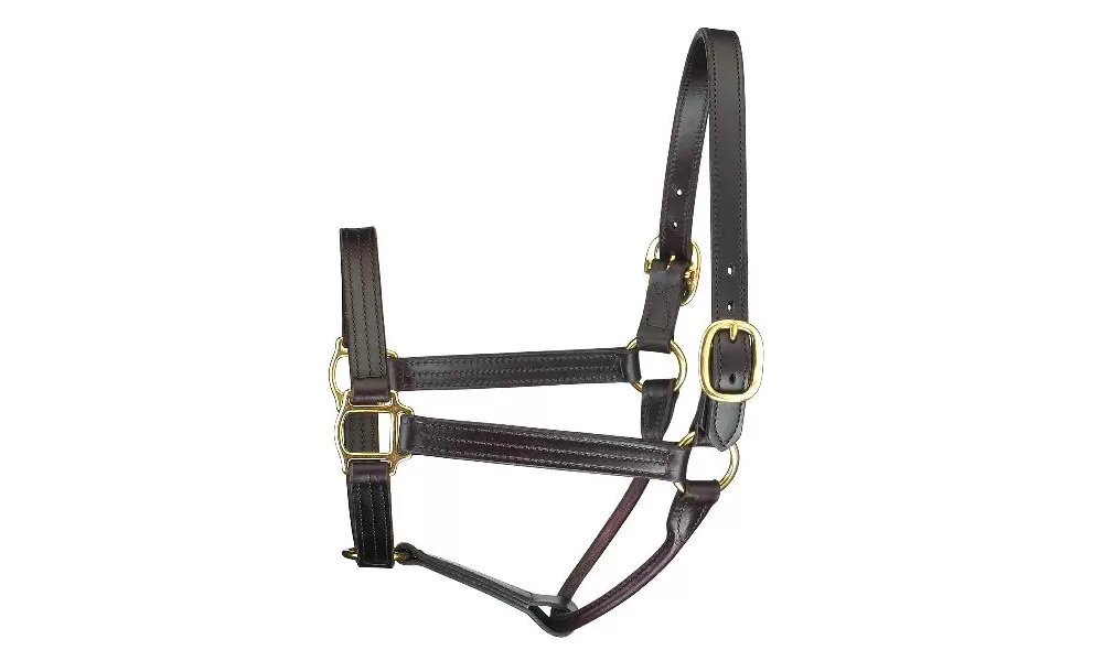 Perris Leather Collection Premium Track Style Leather Show Halter 3 Perris Leather Collection Premium Track Style Leather Show Halter