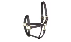 Perris Leather Collection Premium Track Style With Snap Leather Show Halter