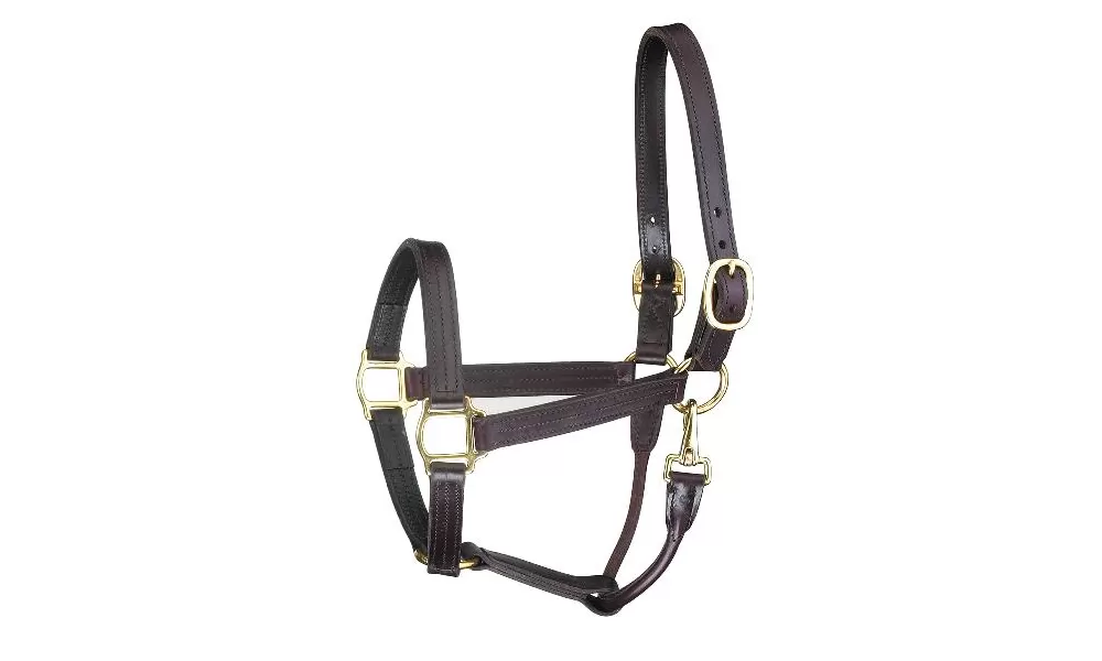 Perris Leather Collection Premium Track Style With Snap Leather Show Halter 3 Perris Leather Collection Premium Track Style With Snap Leather Show Halter