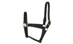 Perris Leather Collection Track Style Leather Turnout Halter