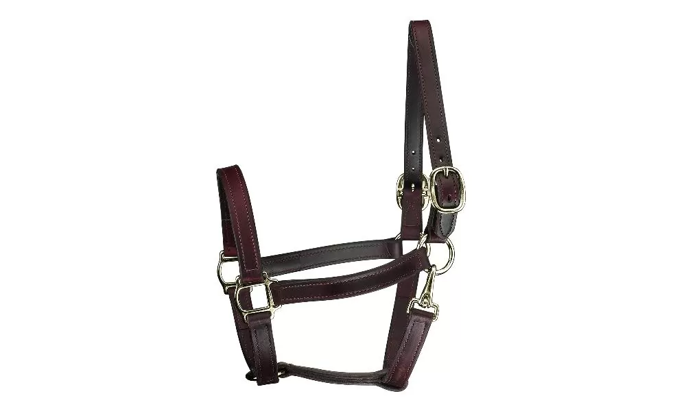 Perris Leather Collection Track Style Leather Turnout Halter With Snap At Throat 3 Perris Leather Collection Track Style Leather Turnout Halter With Snap At Throat