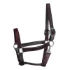 Perris Leather 1" Track With Snap Chrome Hardware 2 Perris Leather 1" Track With Snap Chrome Hardware -Equestrian Supplies Store 5 218968