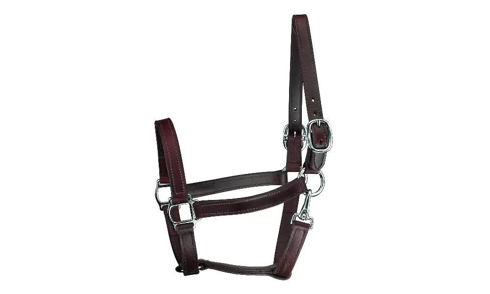 Perris Leather 1" Track With Snap Chrome Hardware 5 Perris Leather 1" Track With Snap Chrome Hardware - Image 3