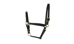 Perris Leather Collection 3/4 In. Leather Turnout Halter 12 Perris Leather Collection 3/4 In. Leather Turnout Halter -Equestrian Supplies Store 5 218988
