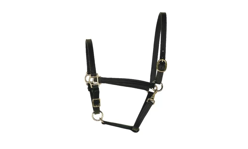 Perris Leather Collection 3/4 In. Leather Turnout Halter 7 Perris Leather Collection 3/4 In. Leather Turnout Halter - Image 5