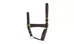 Perris Leather Collection Economy Leather Halter